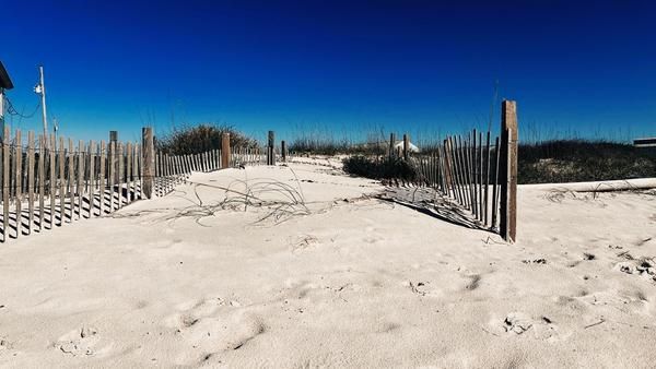 Sandy beach path lined with weathered wooden fences leading toward grassy dunes under a clear deep-blue sky.