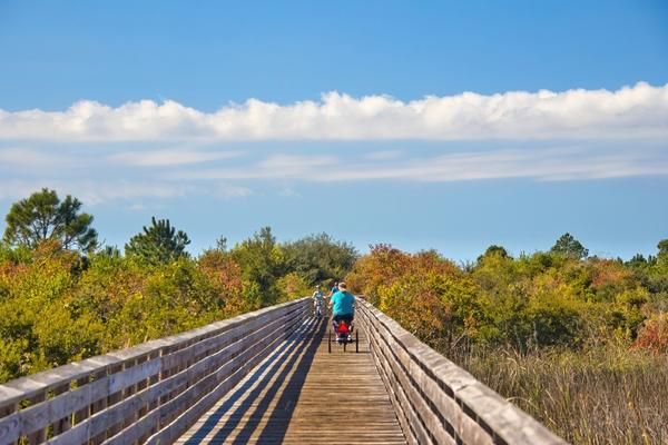Person pushing a stroller along a long wooden boardwalk through autumnal trees under a blue sky.