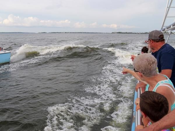 People on a boat railing point toward the choppy water and wake behind the vessel, as they look ahead